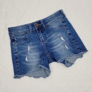 O'Neill Distressed Denim Shorts Size 24